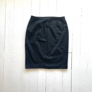 Ellen Tracey Straight Pencil Skirt